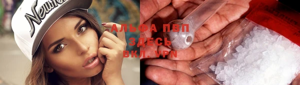 Альфа ПВП Баксан