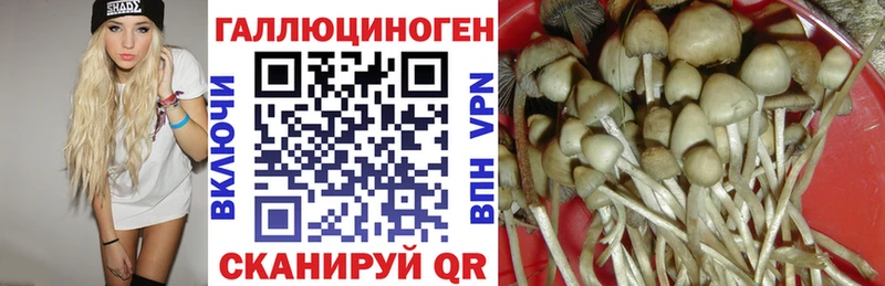 Псилоцибиновые грибы прущие грибы  MEGA маркетплейс  Новоаннинский 